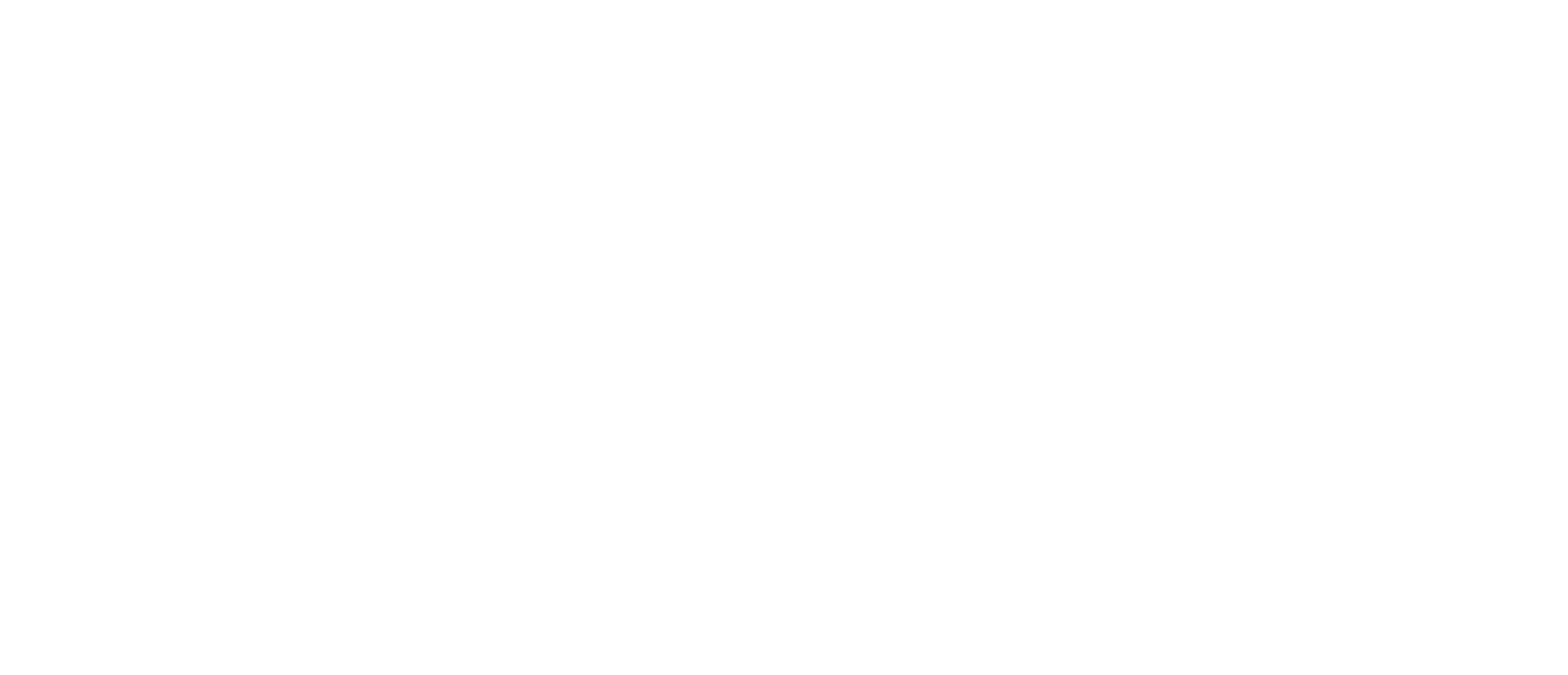 Aarhus University Hospital Logo